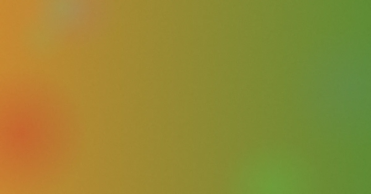 宋达民怎么用：我的实测笔记